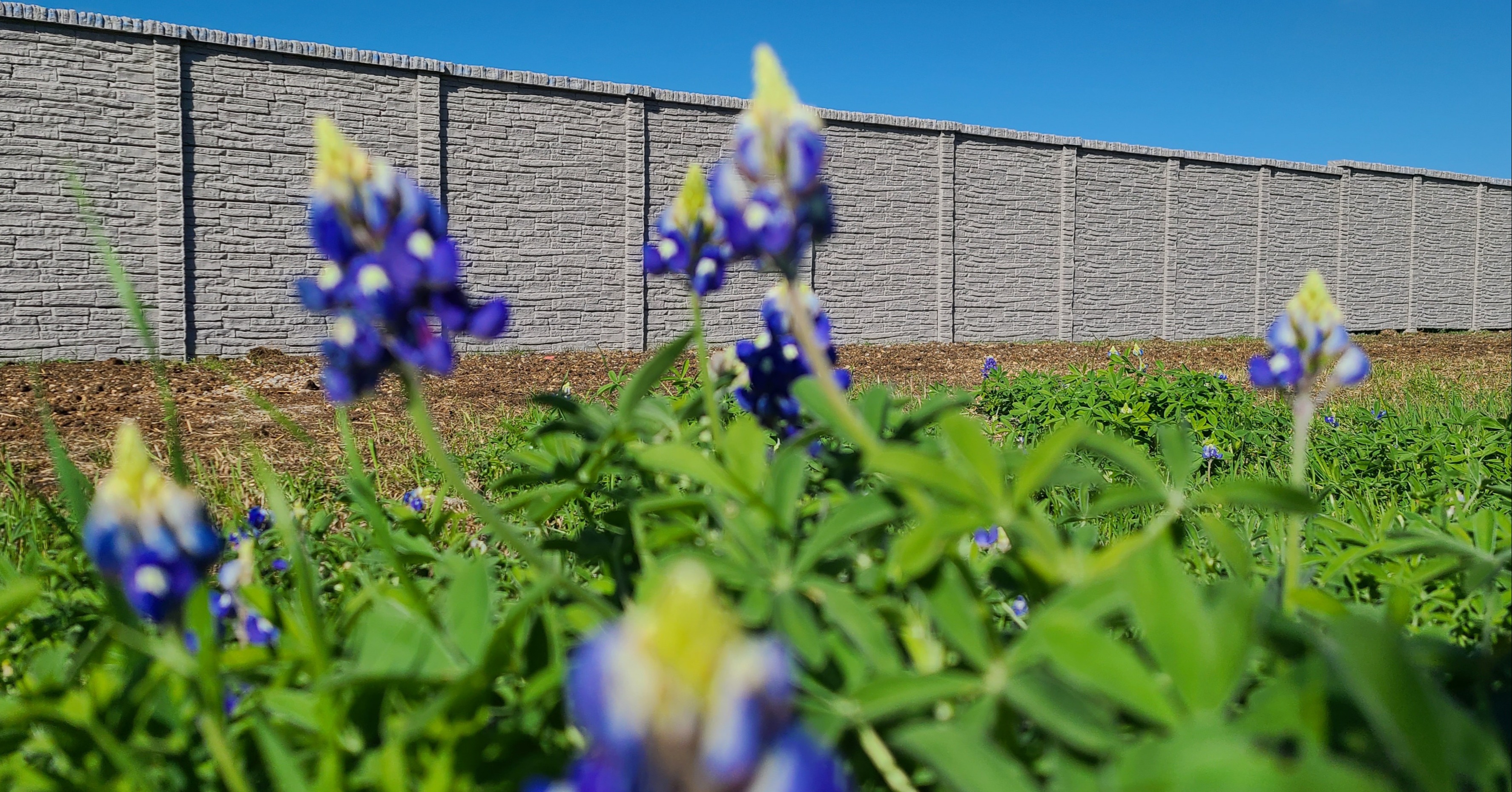 12 Facts about Concrete Fencing